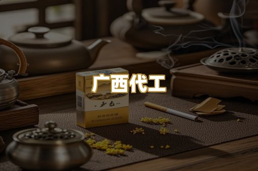 广西代工